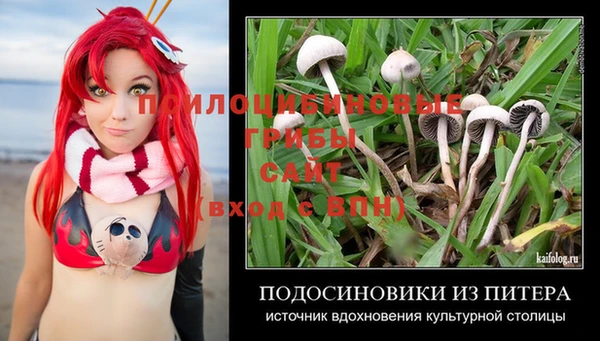 2c-b Баксан