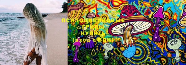 spice Балабаново