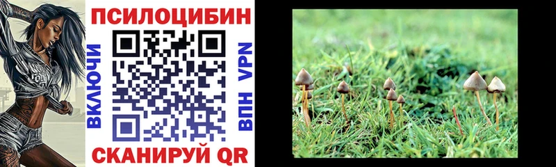 Галлюциногенные грибы Psilocybine cubensis  Вяземский 